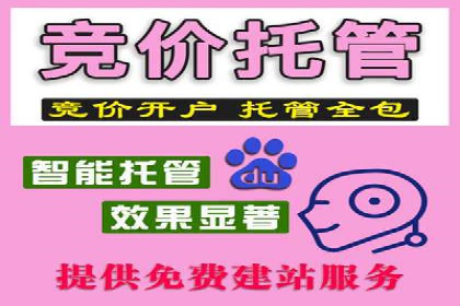 SEM主管实战：数据分析与策略调整